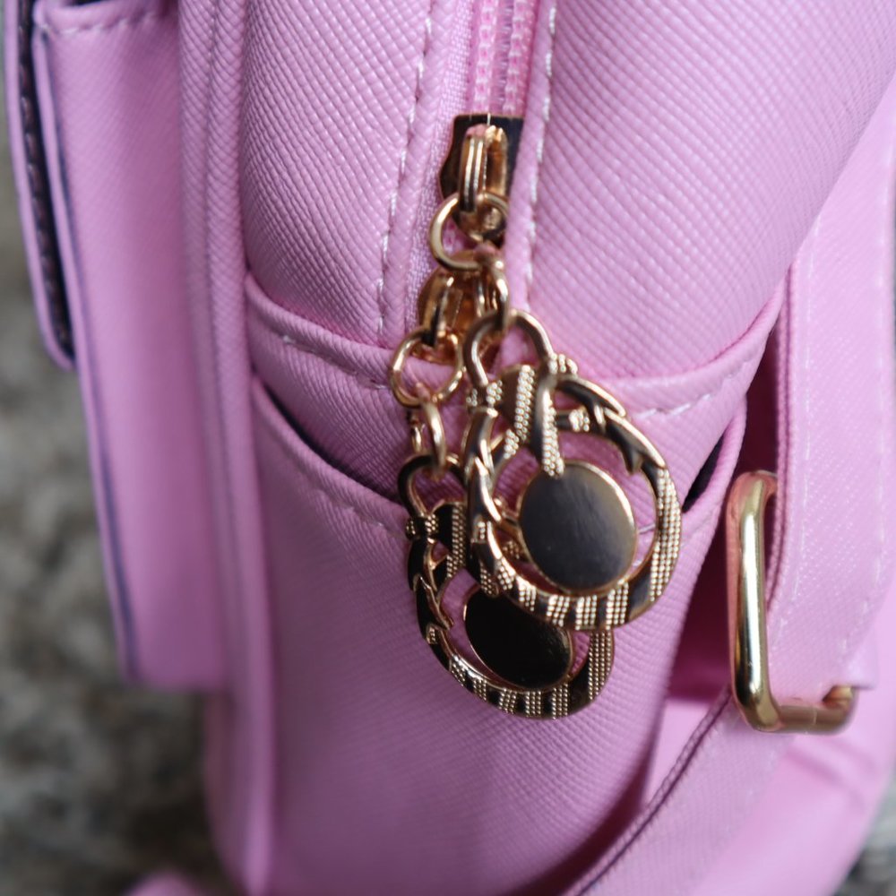 IHAYNER PINK Mini Backpack - Picture 4 of 11